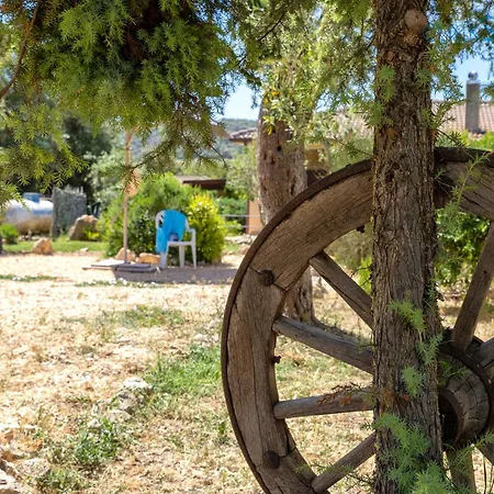 Soraya With Independent Swimming Pool Near The Villa Sássari